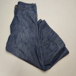 Anthropologie || Level 99 Wide Leg Pants Size 25